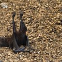 ���� ������, �������, 54 ���� - ��������� 28 ���� 2013 � ������ ���� ����������