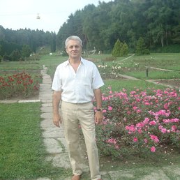 �����, 61 ���, ���������