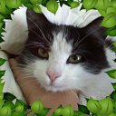 ���� �����, ������ - ��������� 20 ����� 2010 � ������ ���������