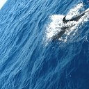 ���� ������, ������������, 67 ��� - ��������� 23 ������ 2011 � ������ �����