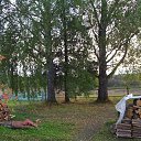 ���� ���������, �����-���������, 71 ��� - ��������� 5 ������� 2012 � ������ �������