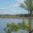 ���� ����, ���������, 63 ���� - ��������� 23 ������� 2012 � ������ ���� ����������