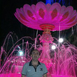 ������, �����-���������, 52 ����