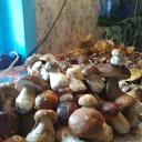 ���� �������, �����-���������, 53 ���� - ��������� 12 ���� 2012 � ������ ���� ����������