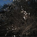 ���� ���� ����, ����������, 50 ��� - ��������� 19 ����� 2010 � ������ ������-2009�