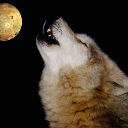 ������, ���������, 40 ���