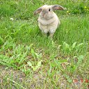 ���� ������, �������, 42 ���� - ��������� 9 ������� 2012 � ������ �������