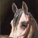 ���� "@����", �����-���������, 25 ��� - ��������� 26 ��� 2010 � ������ �������