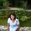 ���� ������, ������, 65 ��� - ��������� 7 ������� 2012 � ������ ���� ����������