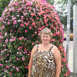 ������, �����, 45 ���