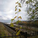 ������ �� ������� �������� �������