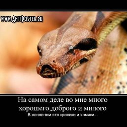 ���� ������, ��������, 58 ��� - ��������� 1 ������� 2011