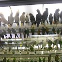 ���� ���, ��������, 30 ��� - ��������� 11 ���� 2013 � ������ ���� ����������