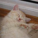 ���� ~��~, ������������, 38 ��� - ��������� 10 ����� 2010 � ������ ���� ����� �����