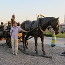 ���� ���, ������, 68 ��� - ��������� 11 ������� 2011