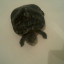 ���� ����������))), ���������, 39 ��� - ��������� 29 ������ 2011 � ������ �������