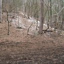 ���� ����� ����, ����, 33 ���� - ��������� 27 ����� 2012