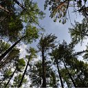  Sergey, , 65  -  11  2010   