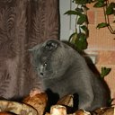 ���� �������, ������ - ��������� 3 ������ 2011 � ������ ���������