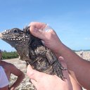 ���� Andrey, �����������, 45 ��� - ��������� 26 ������ 2011 � ������ �������