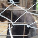 ���� ��������, ������-�������� - ��������� 6 ������� 2010 � ������ �������