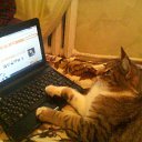 ���� ����, �����, 60 ��� - ��������� 23 ������� 2012 � ������ ��������)�