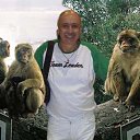 ���� ��������, ���-��, 80 ��� - ��������� 25 ������� 2012 � ������ ���� ����������