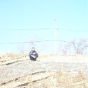 ���� �������, ����������, 34 ���� - ��������� 25 ������ 2012 � ������ �����������