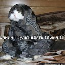 ���� ******Elena, ������, 45 ��� - ��������� 23 ������ 2012 � ������ �������