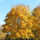 2009 ��� �� ������� ������ � ������