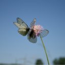 ���� ��������, �������, 74 ���� - ��������� 13 ���� 2012 � ������ ���� ����������