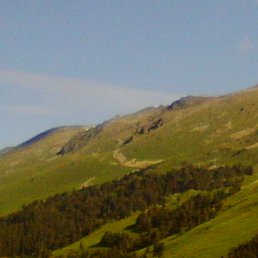 ���� ������, ������ - ��������� 29 ���� 2013