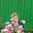 ���� ������, ����������, 66 ��� - ��������� 1 ���� 2013 � ������ ���� ����������