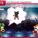 ���� �����, �������, 41 ��� - ��������� 20 ������� 2010 � ������ �PetLove�