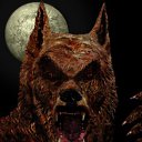 ���� �����, �����, 53 ���� - ��������� 25 ������ 2011 � ������ ���� ����������