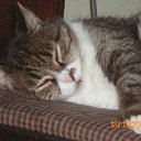 ���� �������, ��������� - ��������� 17 ���� 2011 � ������ ���� ���������