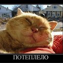 ���� �������, ������� - ��������� 16 ������ 2012 � ������ ��������� ���������