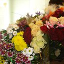  Irina, , 54  -  15  2011   *My flowers*