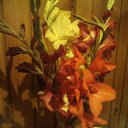 ���� ��������, ������������, 64 ���� - ��������� 14 ������� 2009 � ������ ��������� �����