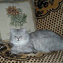 ���� Svetlanas, ���������, 47 ��� - ��������� 7 ���� 2010 � ������ ���� �������
