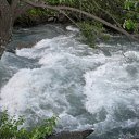 ���� ���, �����������, 85 ��� - ��������� 12 ������� 2010 � ������ �������