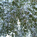 ���� ����, ����������-��-�����, 56 ��� - ��������� 26 ������ 2013 � ������ ���� ����������