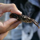 ������ ������ ������ =)) �� ������� �������� �� ����