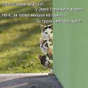 ���� Irisk@, ������ - ��������� 10 ������� 2012 � ������ �������