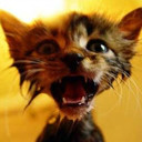 ���� � �����, ����������, 49 ��� - ��������� 30 ������ 2012