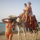 ������ �� ������� ���� ����������