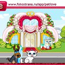  , -, 39  -  9  2010   PetLove