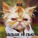 ���� �������, ����, 44 ���� - ��������� 7 ������� 2011