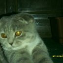  ,  , 33  -  27  2011    