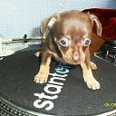 ���� Storm, ���������, 46 ��� - ��������� 9 ���� 2013 � ������ ���� ����������